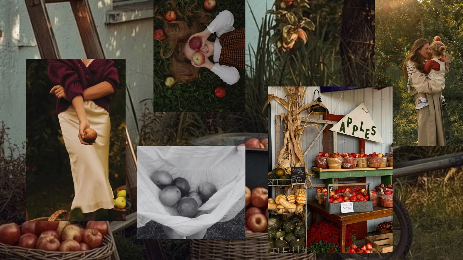 Apple Farmhouse inspiration board