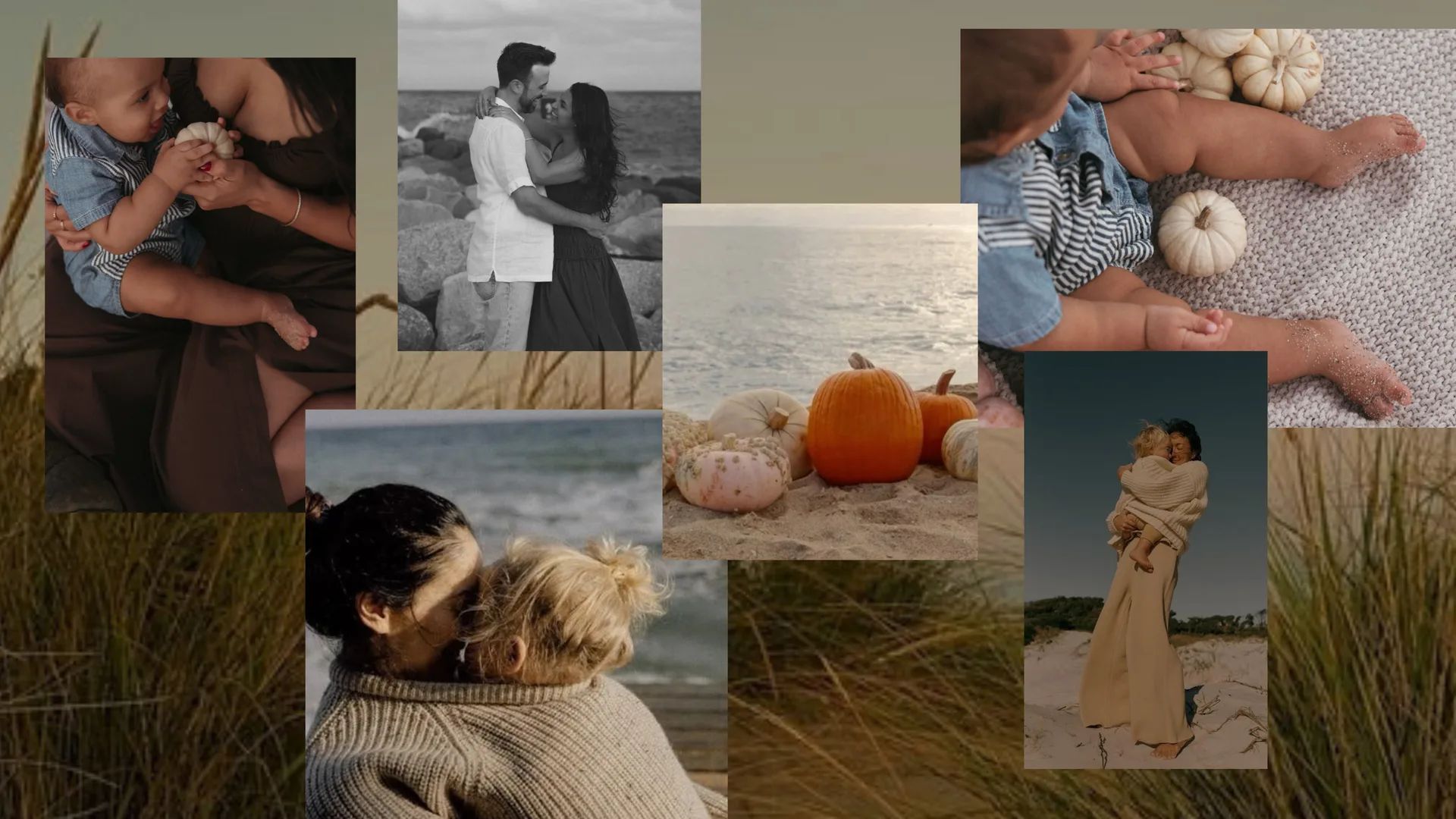 Salt & Autumn inspiration board