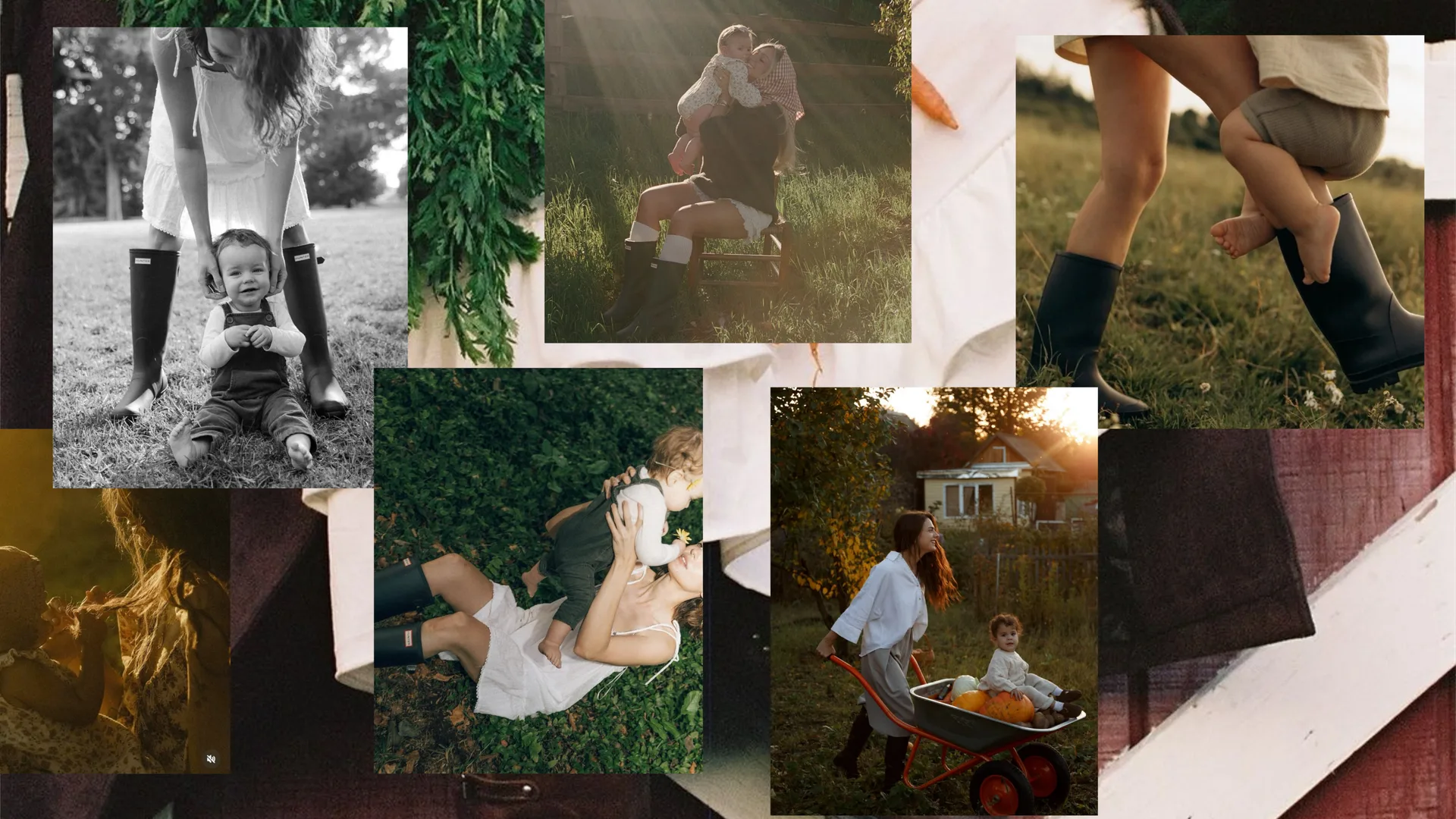Harvest Storybook inspiration board